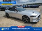 Thumbnail Photo 5 for New 2018 Ford Mustang Convertible