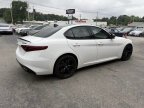 Thumbnail Photo 6 for 2019 Alfa Romeo Giulia