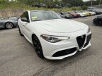 Thumbnail Photo 4 for 2019 Alfa Romeo Giulia