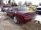 Thumbnail Photo 6 for 2019 Dodge Challenger
