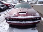 Thumbnail Photo 2 for 2019 Dodge Challenger
