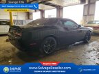 Thumbnail Photo 4 for 2019 Dodge Challenger R/T Scat Pack