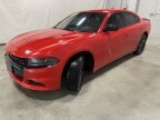 Thumbnail Photo 1 for 2019 Dodge Charger SXT