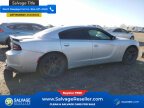 Thumbnail Photo 4 for 2019 Dodge Charger SXT