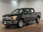 Thumbnail Photo 6 for 2019 Ford F150