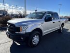 Thumbnail Photo 3 for 2019 Ford F150