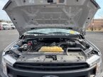 Thumbnail Photo 3 for 2019 Ford F150