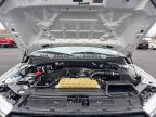 Thumbnail Photo 3 for 2019 Ford F150