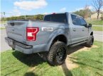 Thumbnail Photo 1 for 2019 Ford F150