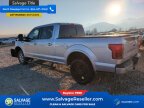 Thumbnail Photo 3 for New 2019 Ford F150
