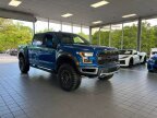 Thumbnail Photo 3 for 2019 Ford F150