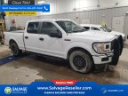 Thumbnail Photo 5 for New 2019 Ford F150