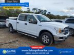 Thumbnail Photo 5 for New 2019 Ford F150