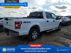Thumbnail Photo 4 for New 2019 Ford F150