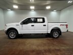 Thumbnail Photo 5 for 2019 Ford F150