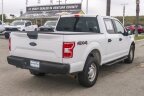 Thumbnail Photo 6 for 2019 Ford F150