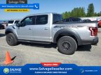 Thumbnail Photo 3 for New 2019 Ford F150 4x4 Crew Cab Raptor