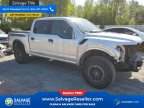 Thumbnail Photo 5 for New 2019 Ford F150 4x4 Crew Cab Raptor