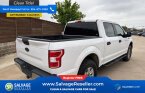 Thumbnail Photo 5 for New 2019 Ford F150