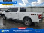 Thumbnail Photo 3 for 2019 Ford F150