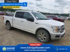 Thumbnail Photo 5 for 2019 Ford F150