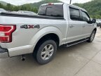 Thumbnail Photo 6 for 2019 Ford F150