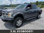 Thumbnail Photo 4 for 2019 Ford F150