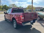 Thumbnail Photo 6 for 2019 Ford F150