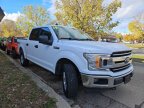 Thumbnail Photo 3 for 2019 Ford F150