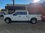 Thumbnail Photo 5 for 2019 Ford F150