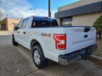 Thumbnail Photo 6 for 2019 Ford F150