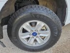 Thumbnail Photo 4 for 2019 Ford F150