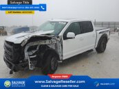 New 2019 Ford F150 4x4 Crew Cab Raptor