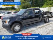 New 2019 Ford F150