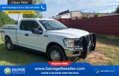 New 2019 Ford F150