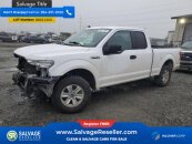 2019 Ford F150