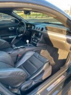 Thumbnail Photo 4 for 2019 Ford Mustang