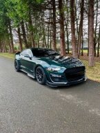 Thumbnail Photo 2 for 2019 Ford Mustang