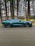 Thumbnail Photo 3 for 2019 Ford Mustang