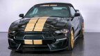 Thumbnail Photo 5 for 2019 Ford Mustang