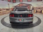 Thumbnail Photo 3 for 2019 Ford Mustang