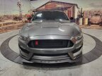 Thumbnail Photo 1 for 2019 Ford Mustang
