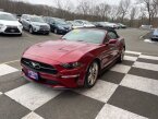 Thumbnail Photo 5 for 2019 Ford Mustang