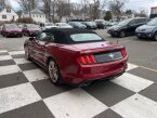 Thumbnail Photo 4 for 2019 Ford Mustang