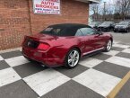 Thumbnail Photo 2 for 2019 Ford Mustang