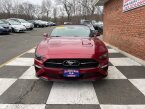Thumbnail Photo 6 for 2019 Ford Mustang