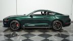 Thumbnail Photo 3 for 2019 Ford Mustang