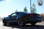 Thumbnail Photo 4 for 2019 Ford Mustang