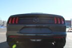Thumbnail Photo 5 for 2019 Ford Mustang