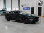 Thumbnail Photo 5 for 2019 Ford Mustang